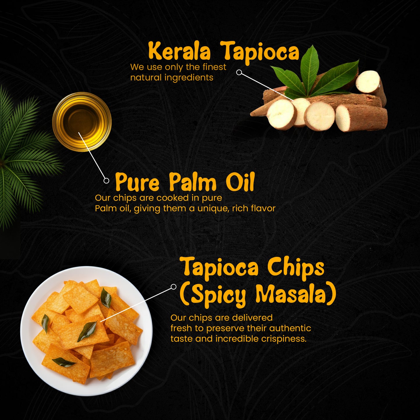 Tapioca Chips – Spicy Masala